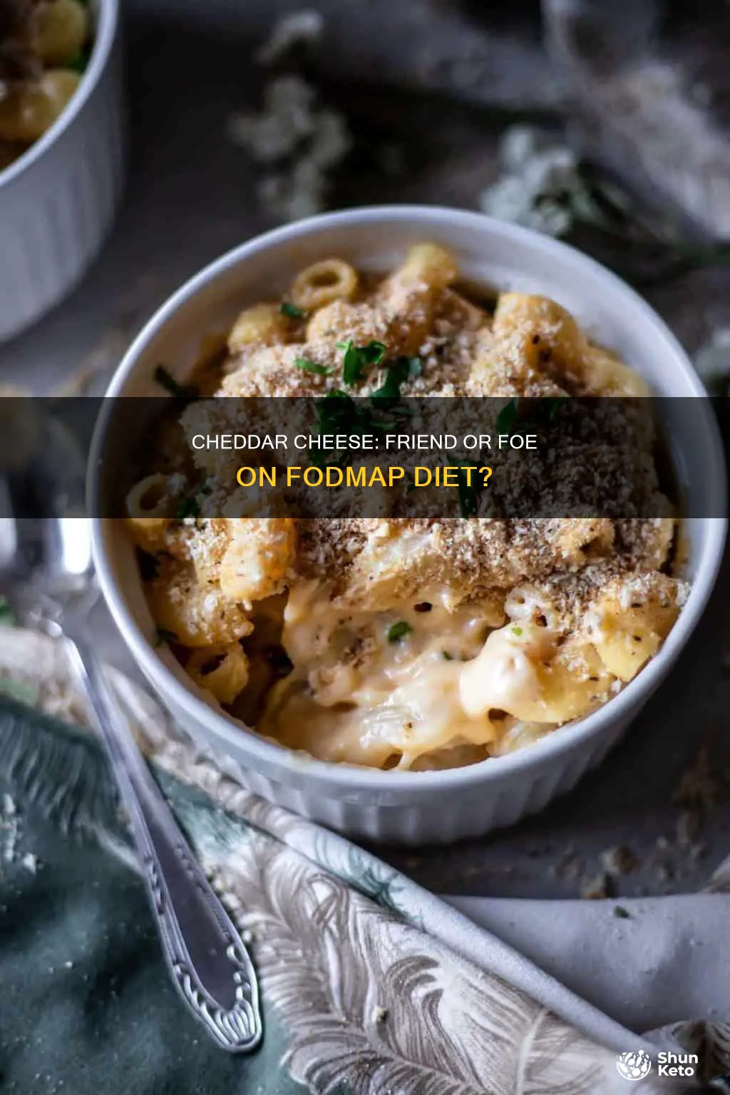 is cheddar cheese ok on fodmap diet