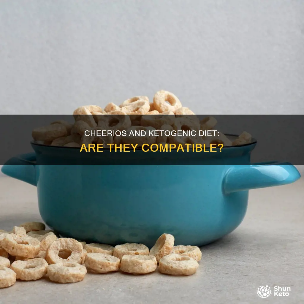 is cheerios on ketogenic diet