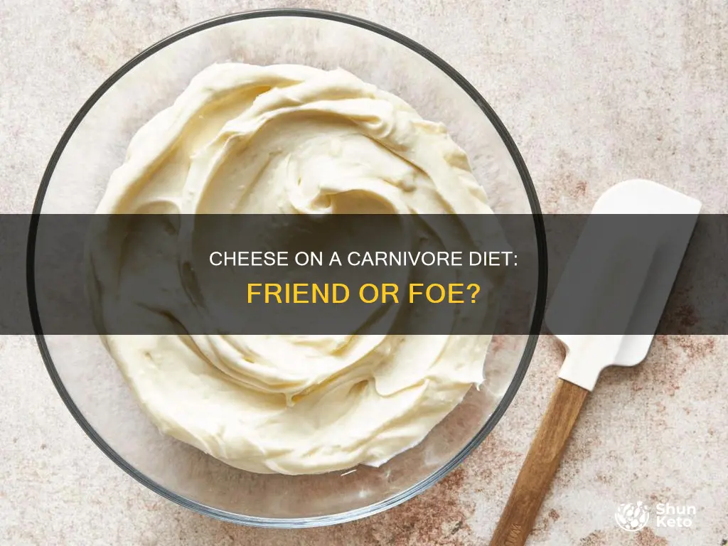 is cheese allowed in carnivore diet