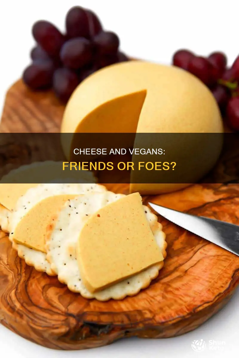 is cheese allowed in vegan diet