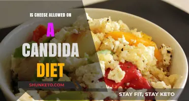 Cheese and Candida Diet: What's the Verdict?