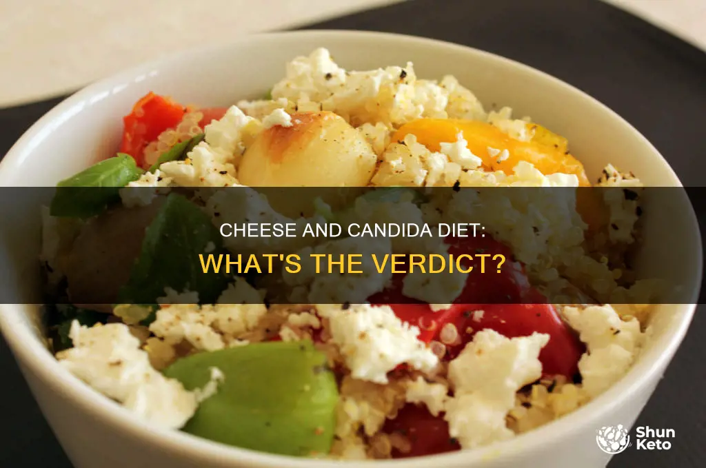 is cheese allowed on a candida diet
