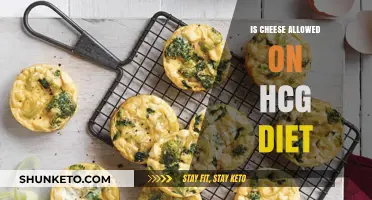 Cheese on the HCG Diet: What You Need to Know