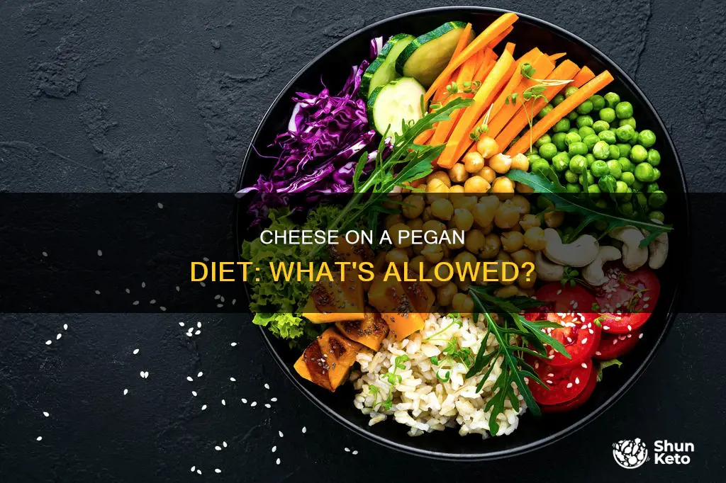 is cheese allowed on z pegan diet