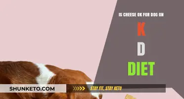 Can Dogs Eat Cheese on a K-D Diet?