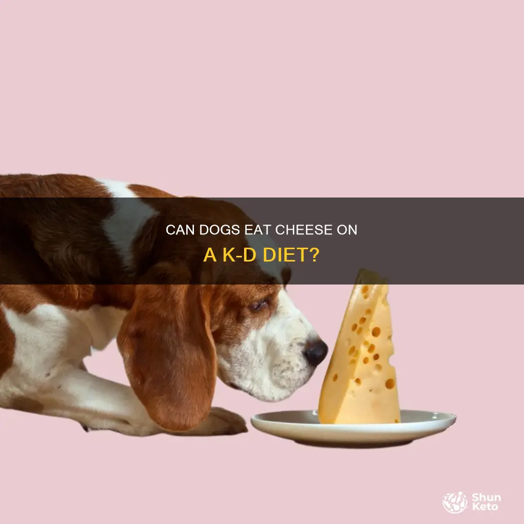 is cheese ok for dog on k d diet