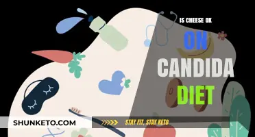 Cheese and Candida Diet: What's the Verdict?