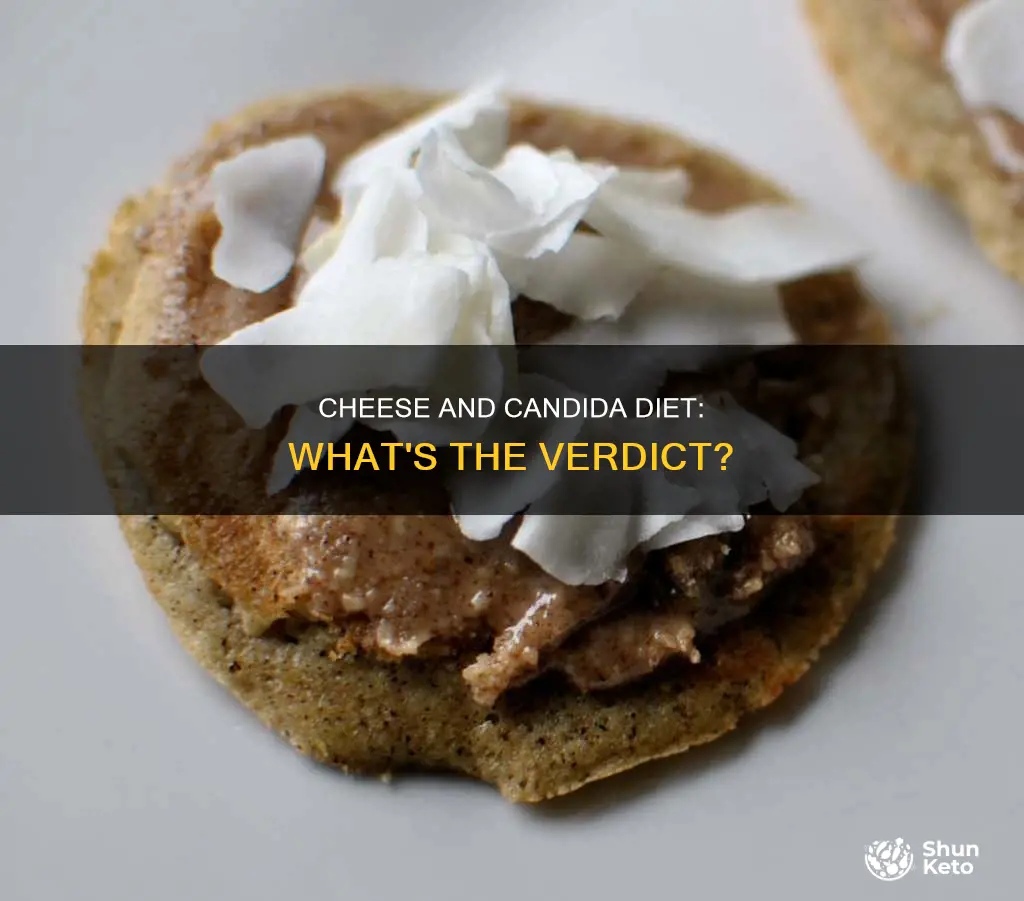 is cheese ok on candida diet