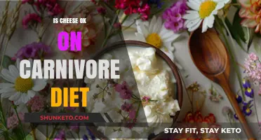 Cheese on Carnivore: Good or Bad?