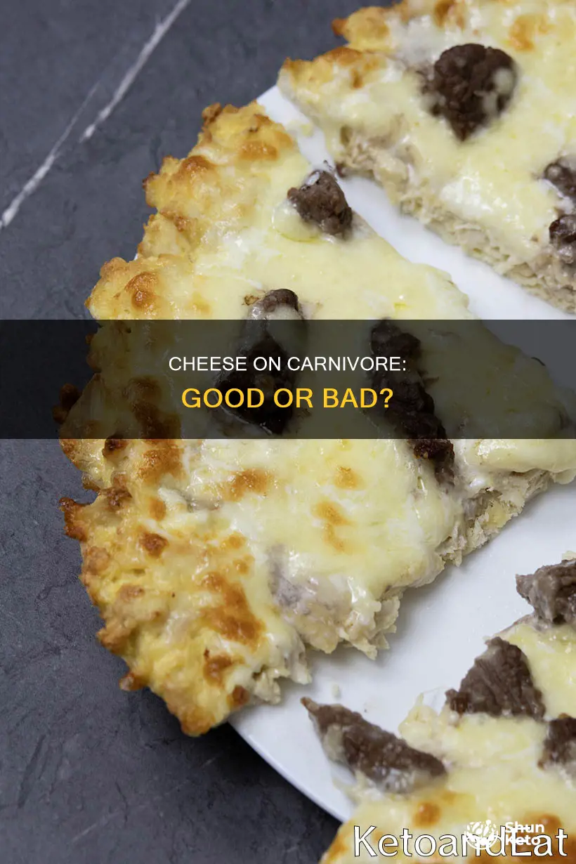 is cheese ok on carnivore diet