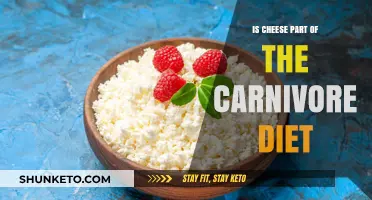Carnivore Diet: Is Cheese Allowed or Not?