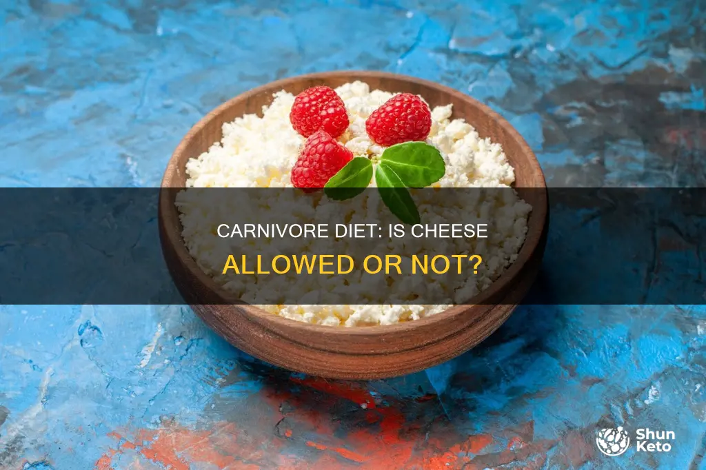 is cheese part of the carnivore diet