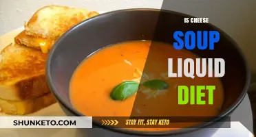 Cheese Soup: A Liquid Diet's Dream?
