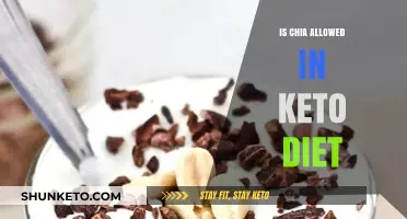 Chia Seeds on Keto: Are They Allowed in Your Low-Carb Diet?
