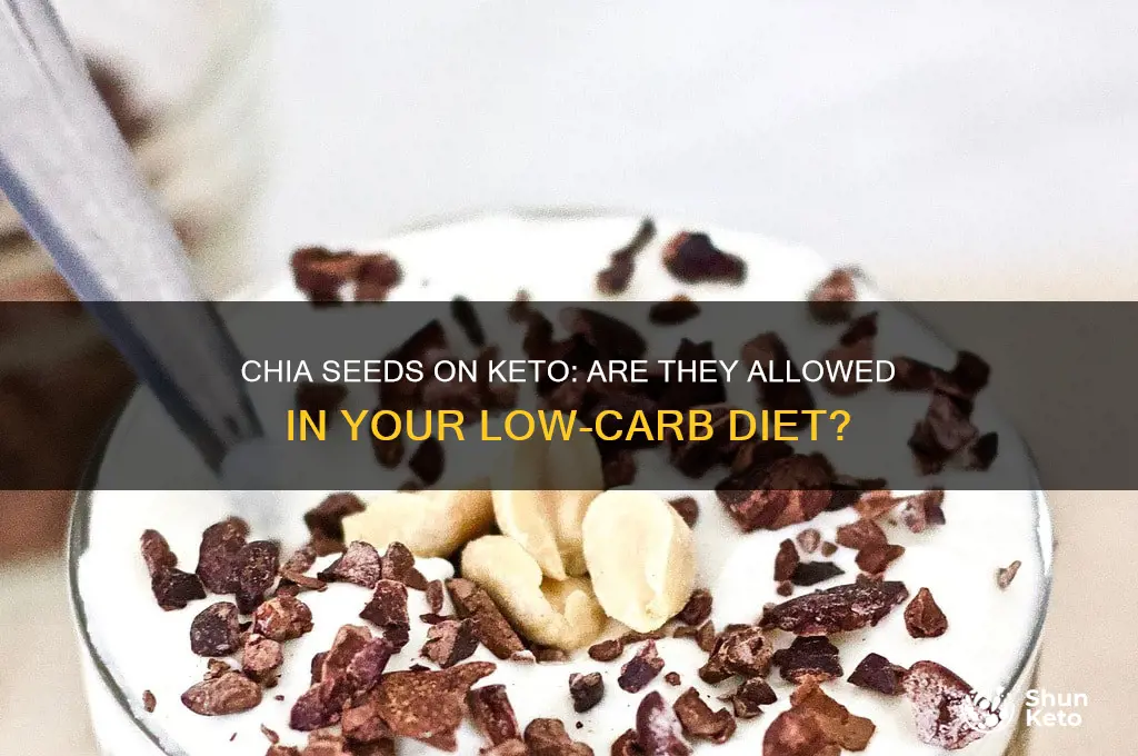 is chia allowed in keto diet