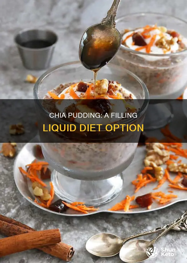 is chia pudding full liquid diet
