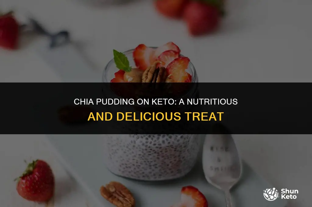 is chia pudding keto friendly