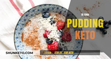 Is Chia Pudding Keto-Friendly? A Low-Carb Breakfast Analysis