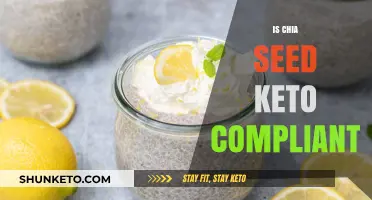 Chia Seeds on Keto: Are They a Low-Carb Friendly Superfood?