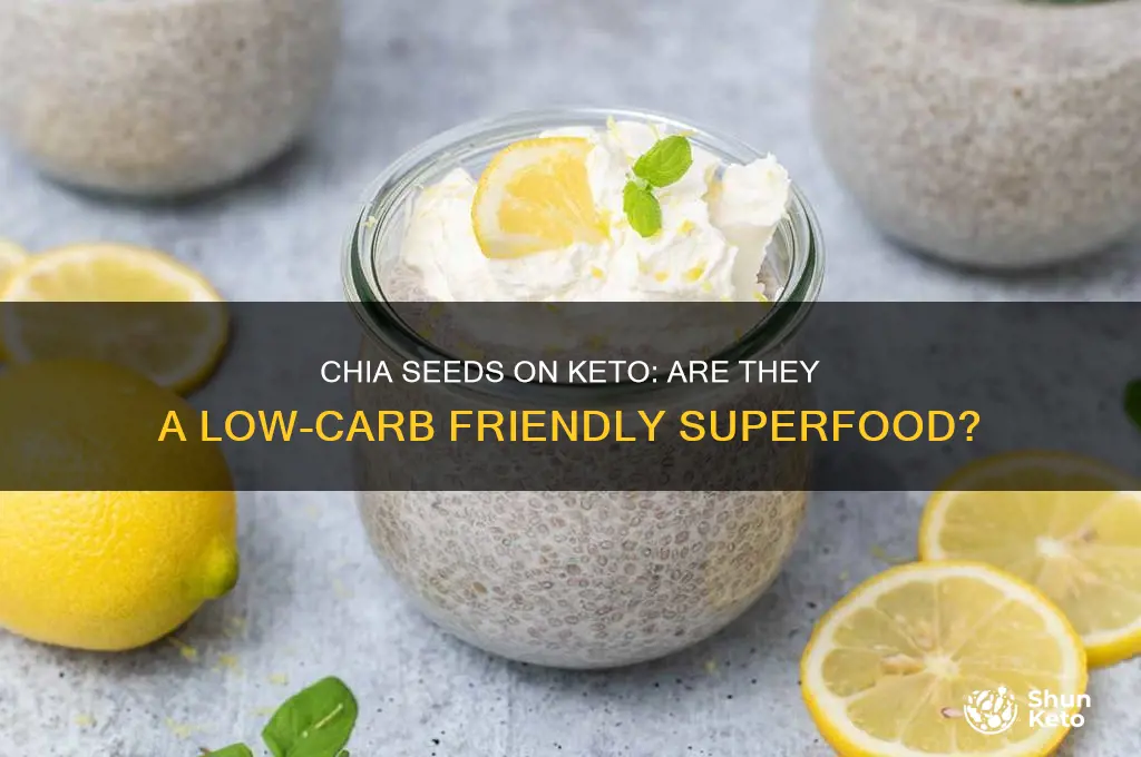 is chia seed keto compliant