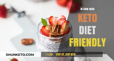 Chia Seeds and Keto: A Perfect Match for Your Diet?