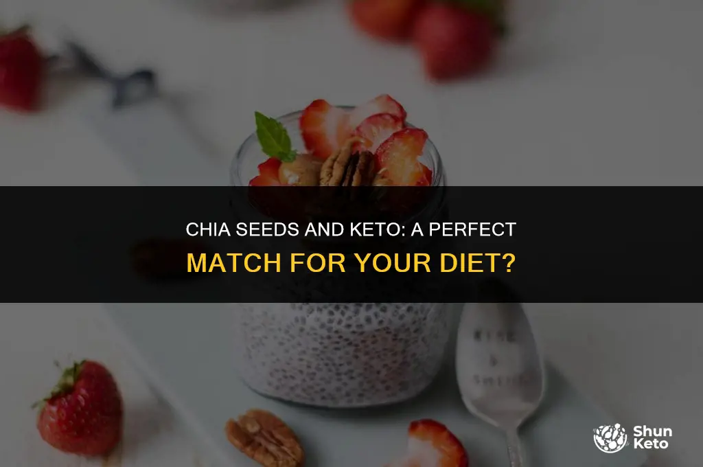 is chia seed keto diet friendly