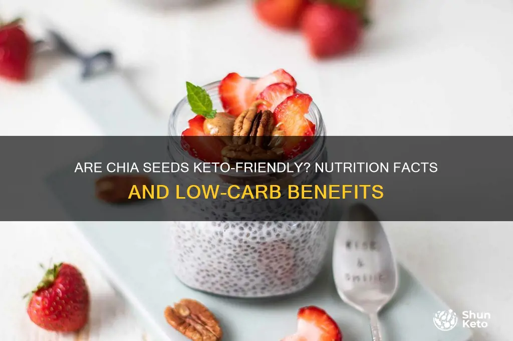 is chia seeds keto