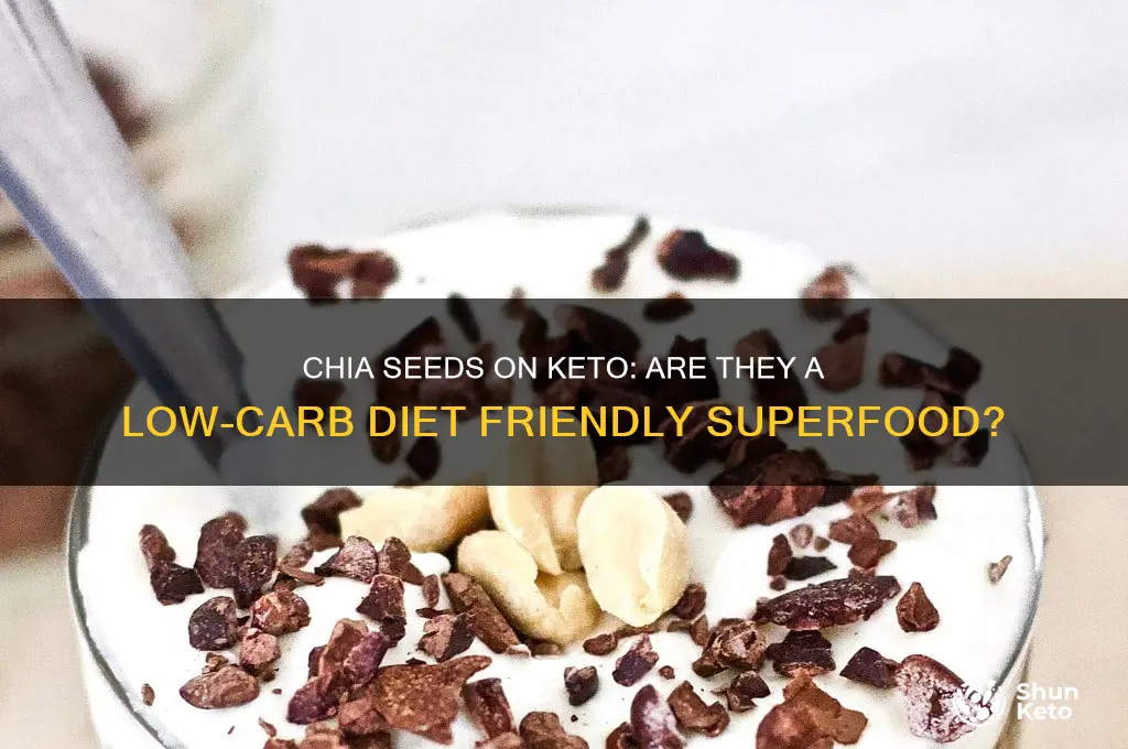 is chia seeds ok for keto diet