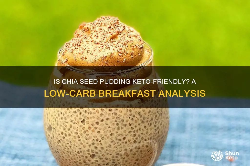 is chia seeds pudding keto