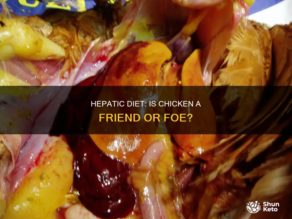 is chicken allowed on a hepatic diet