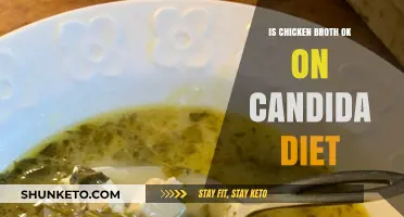 Chicken Broth: Friend or Foe on Candida Diet?