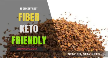 Exploring Chicory Root Fiber's Role in a Keto Diet