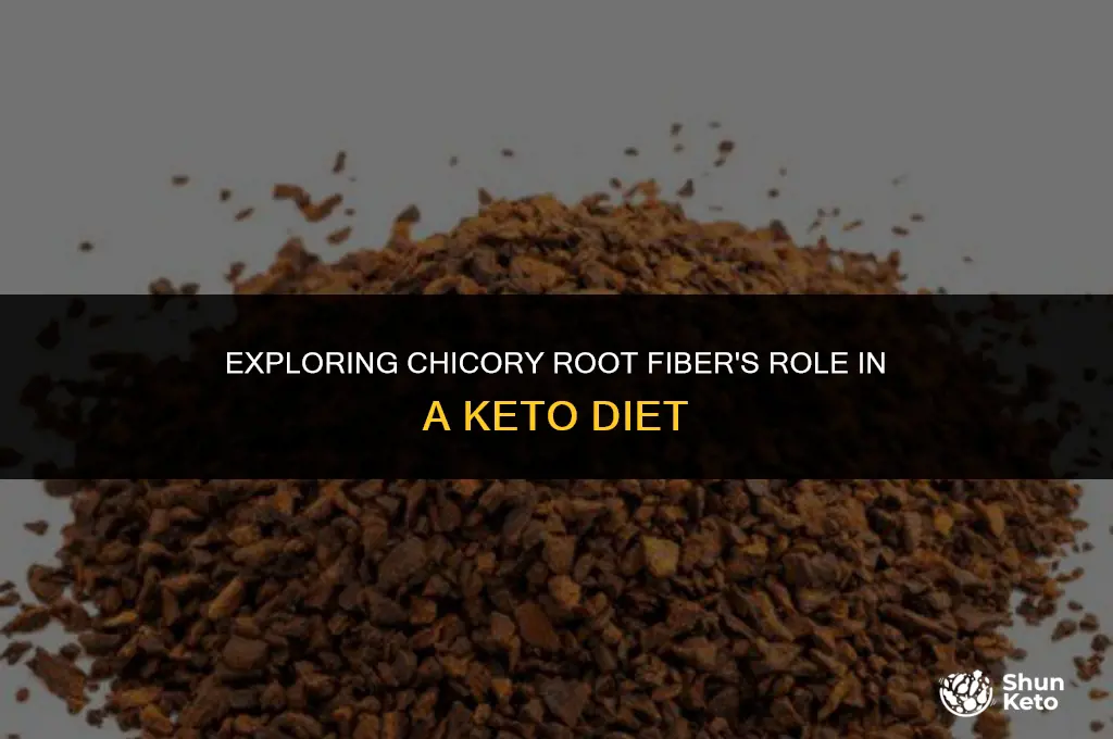 is chicory root fiber keto friendly