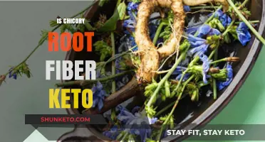 Is Chicory Root Fiber Keto-Friendly? A Low-Carb Diet Analysis