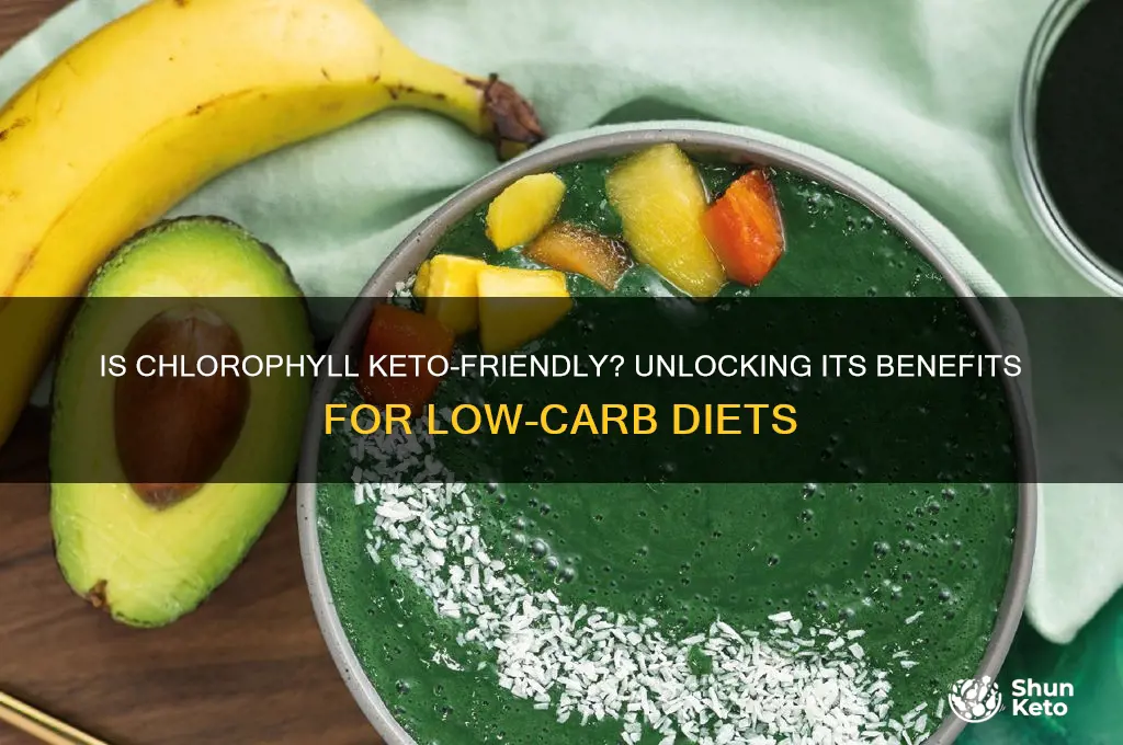 is chlorophyll keto friendly