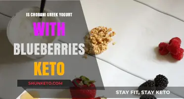 Is Chobani Blueberry Greek Yogurt Keto-Friendly? A Diet Analysis