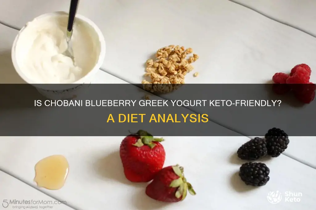 is chobani greek yogurt with blueberries keto