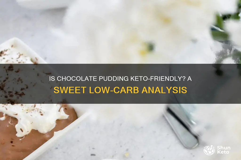 is chocalate pudding keto friendly