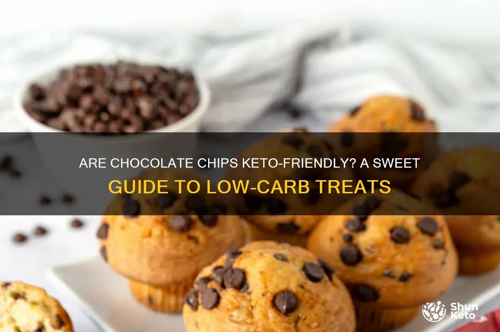 is chocolate chips keto