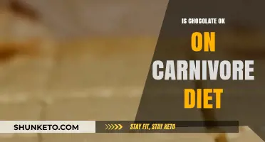 Carnivore Diet: Is Chocolate Allowed?