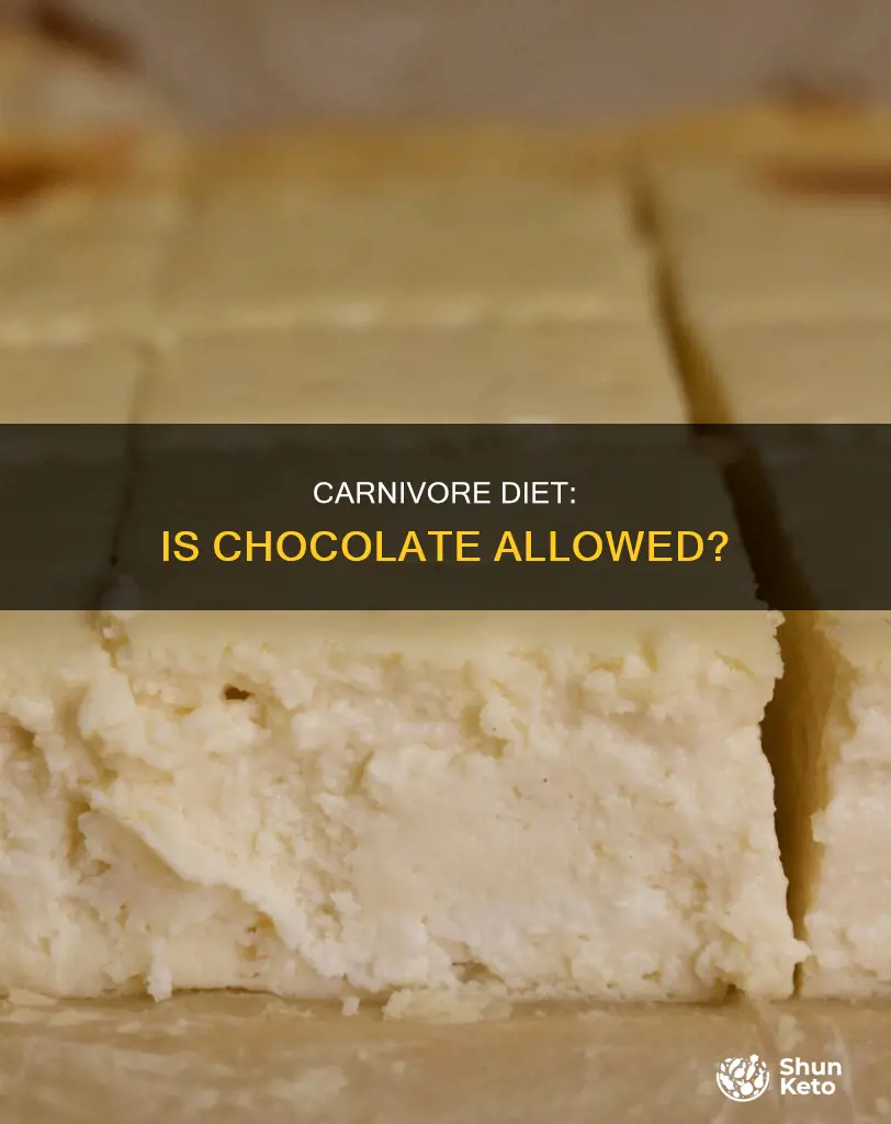 is chocolate ok on carnivore diet