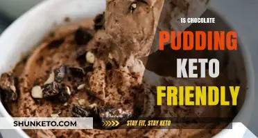 Can You Enjoy Chocolate Pudding on a Keto Diet?