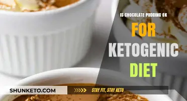Chocolate Pudding: Friend or Foe on a Keto Diet?
