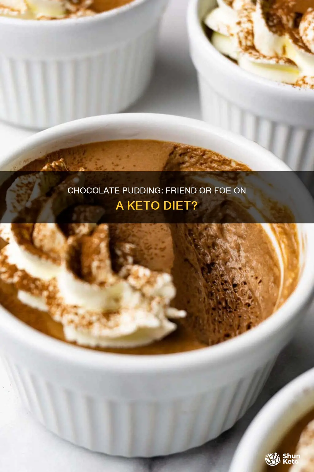 is chocolate pudding ok for ketogenic diet