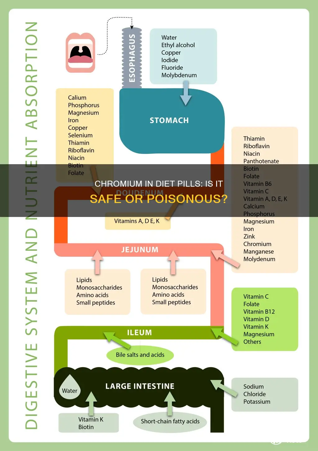 is chromium poisonus in diet pills