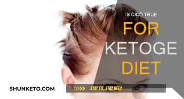 CICO and Keto: The Truth About Calories and Ketosis