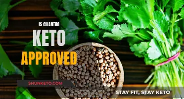 Cilantro on Keto: Approved or Not?