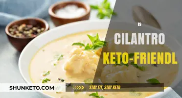 Is Cilantro Keto-Friendly? A Low-Carb Herb Guide for Dieters