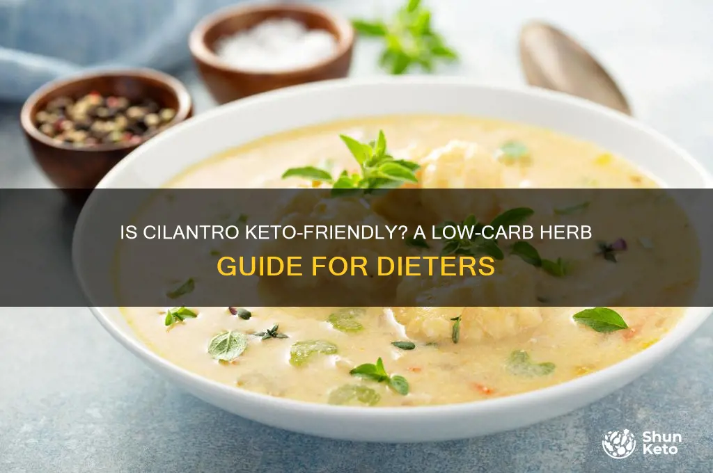 is cilantro keto-friendly