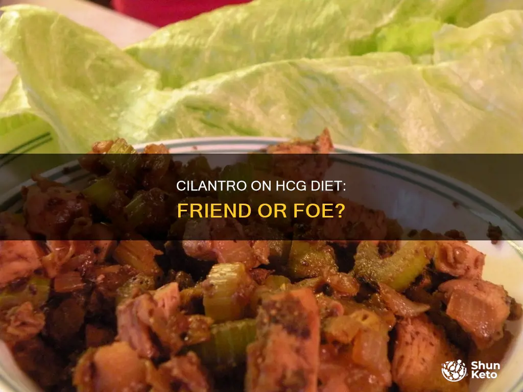 is cilantro ok on hcg diet